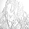 image 4*7