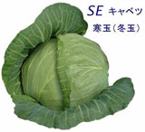 Tsumagoi Choux