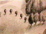 chaos-point6